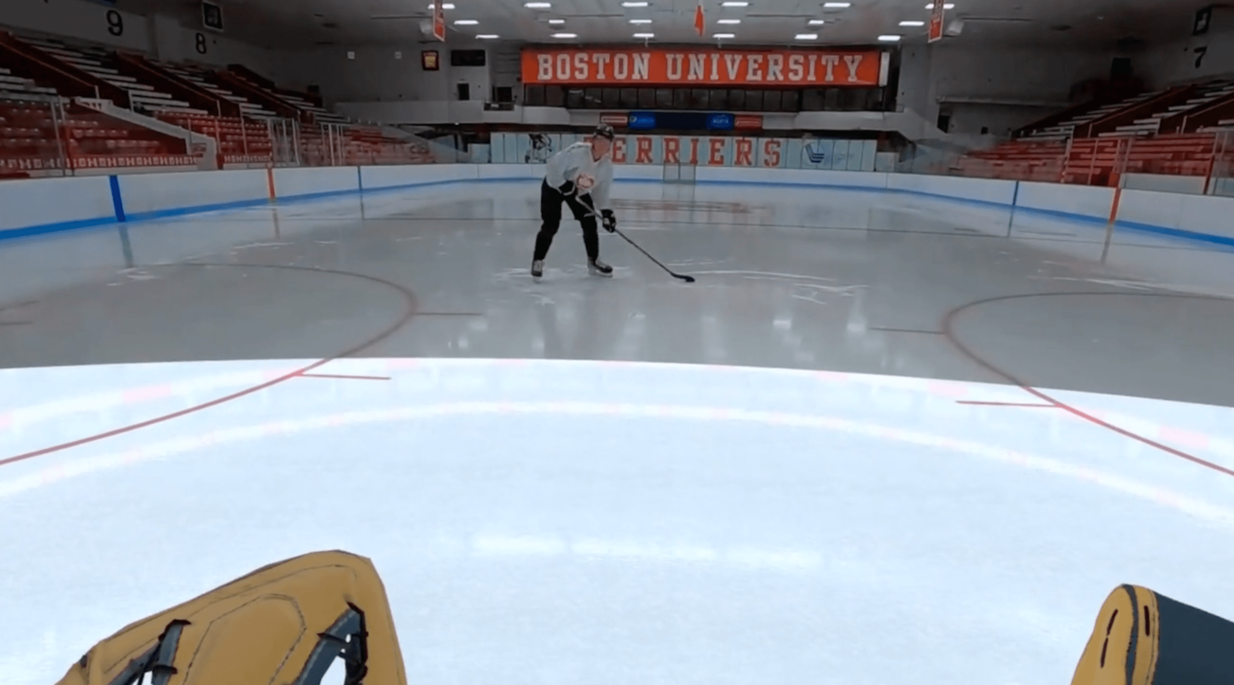 Shot from slot (Goalies) cover image