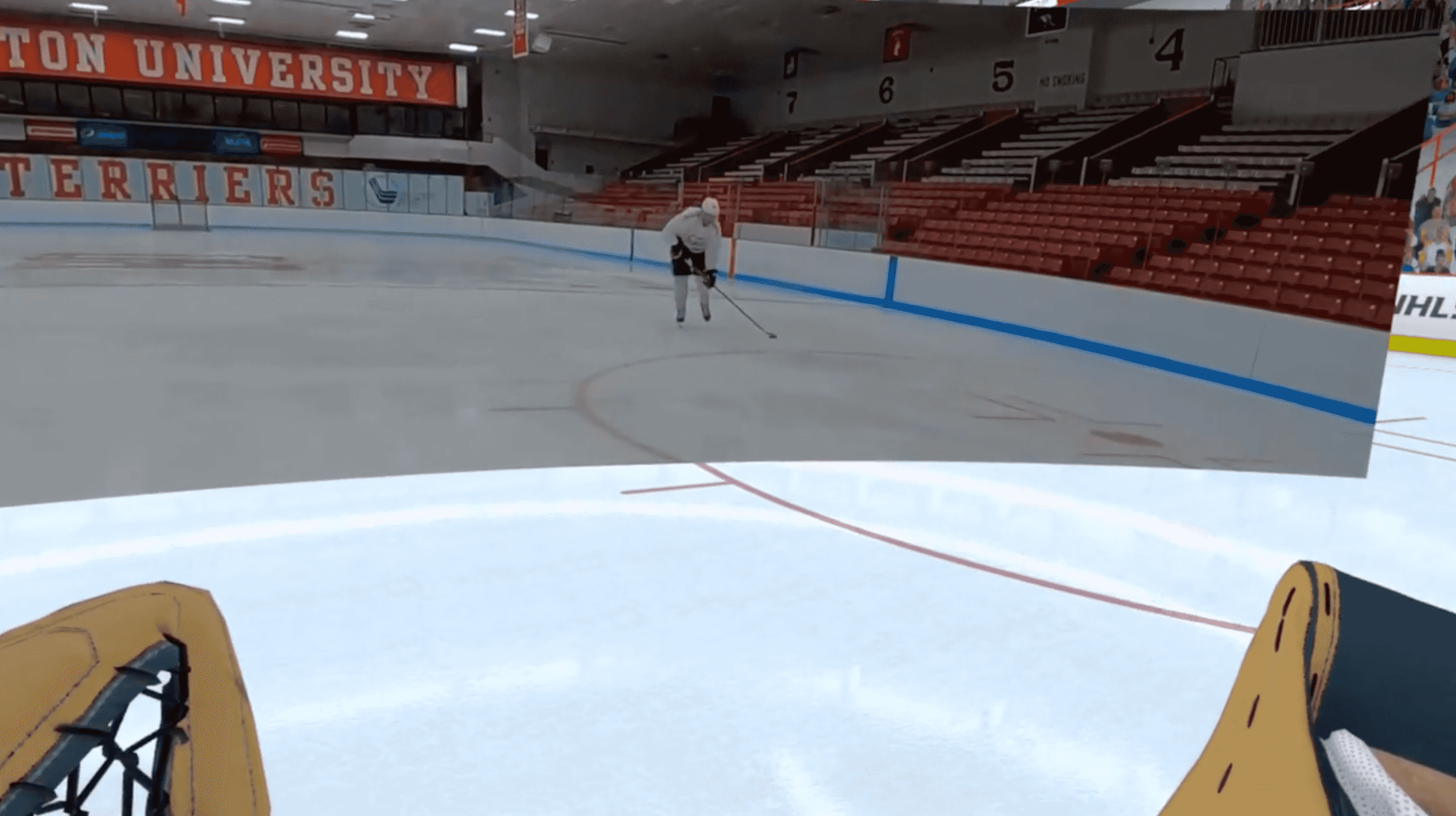Skate and shoot cover image