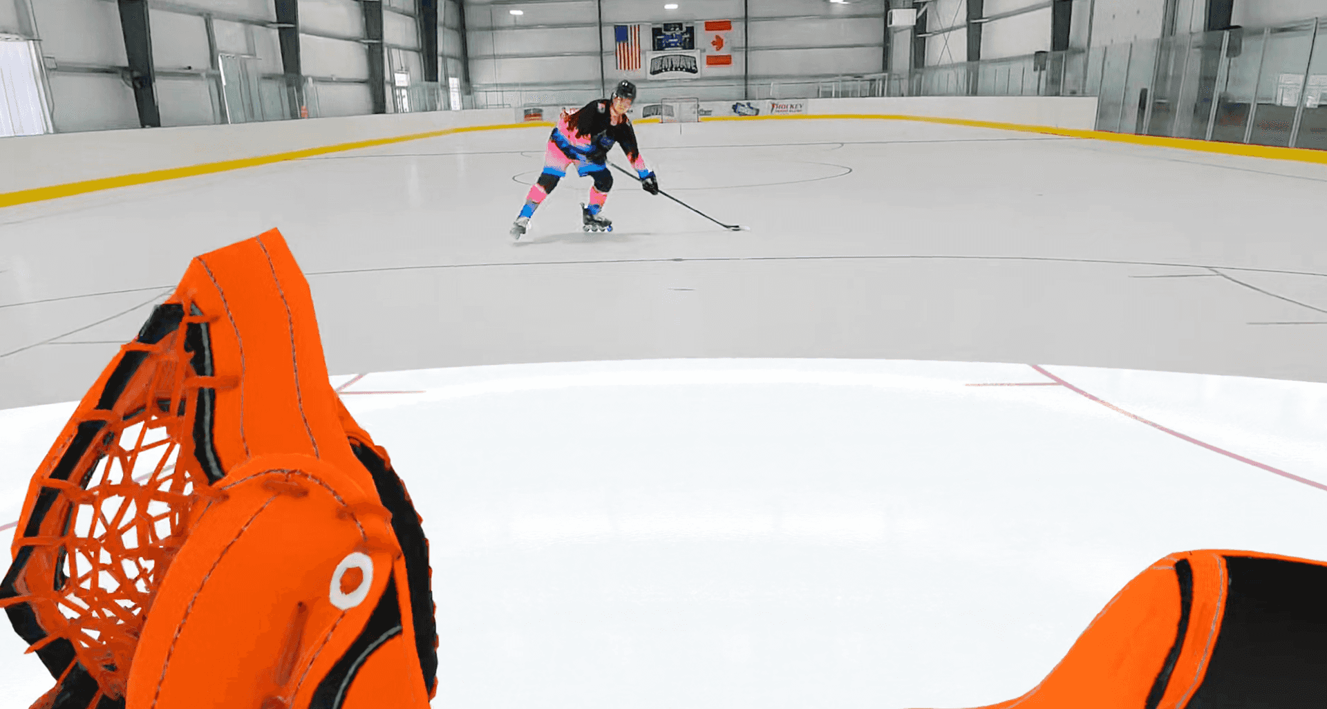 NHL Sense Arena - April Goalie Updates cover image